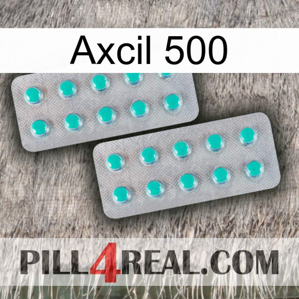 Axcil 500 29.jpg